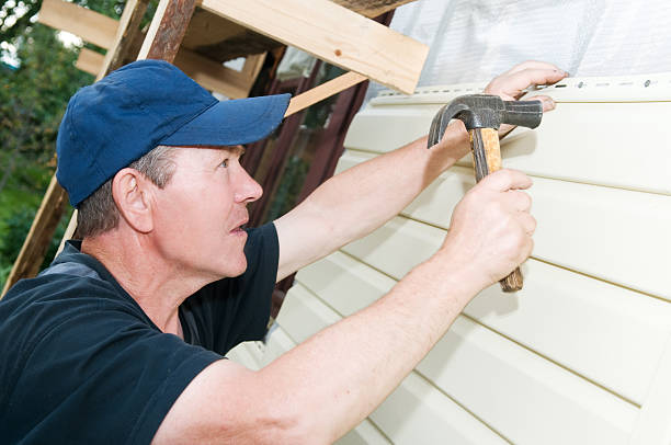 Best Shed Removal  in , WI